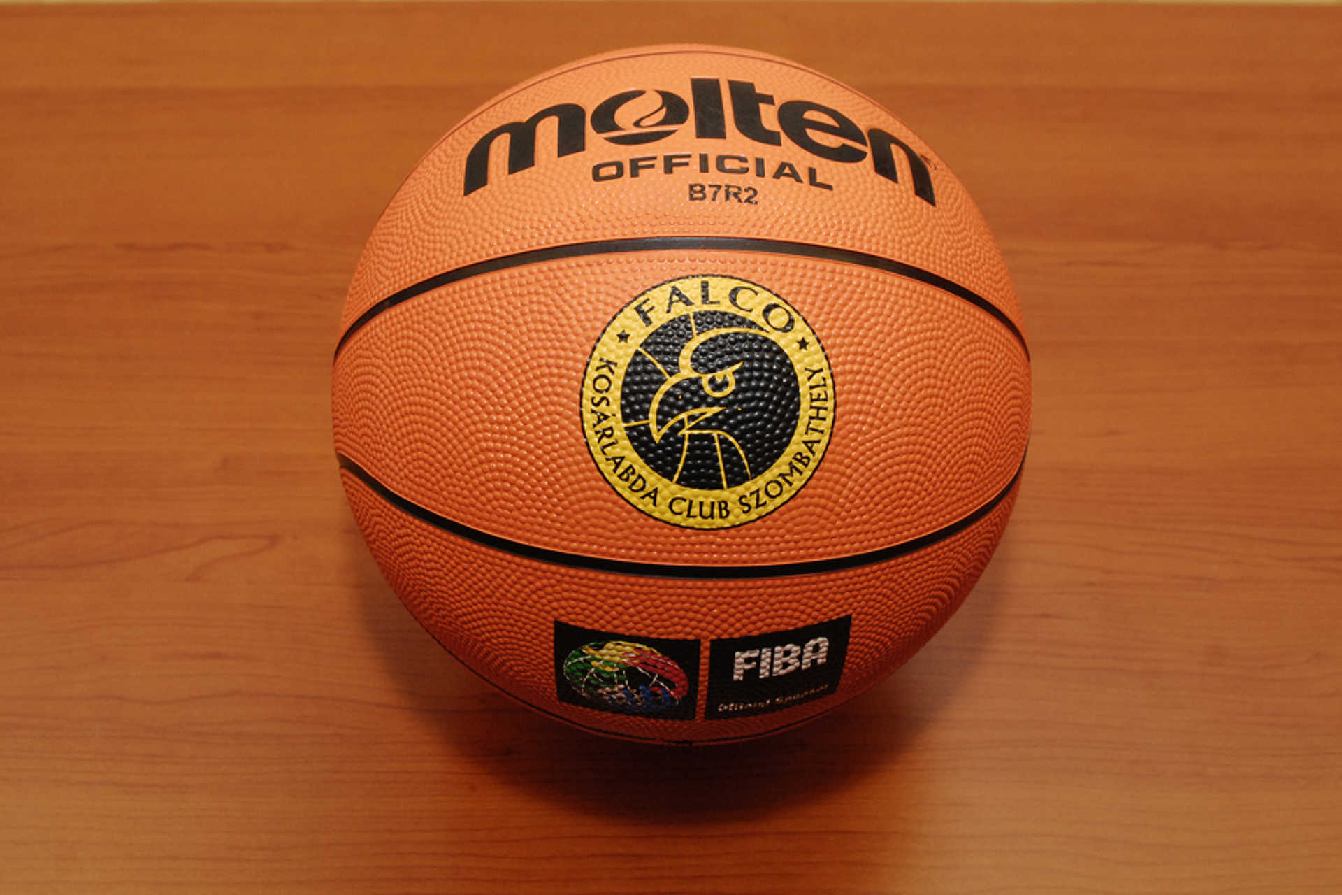 Molten labda FALCO logóval 3000,-