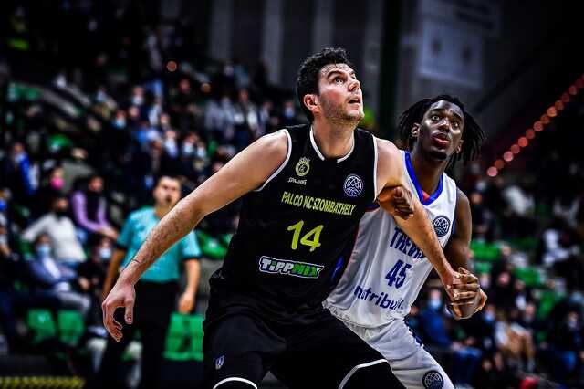 Treviso - Falco