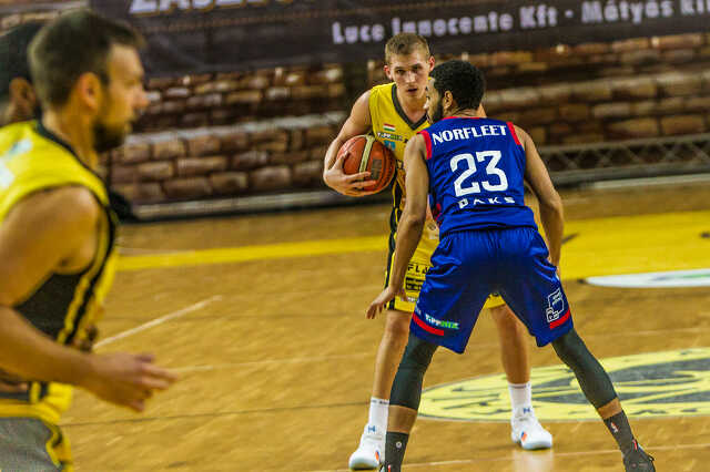 Falco jan.26