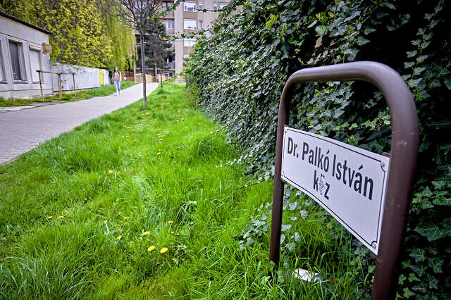 Dr Palkó István köz Szombathelyen