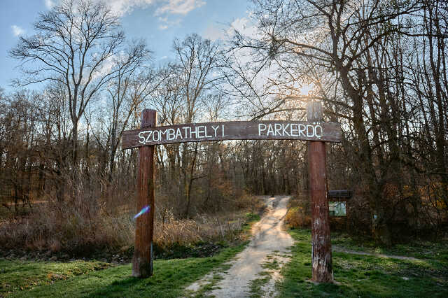 Parkerdő túra