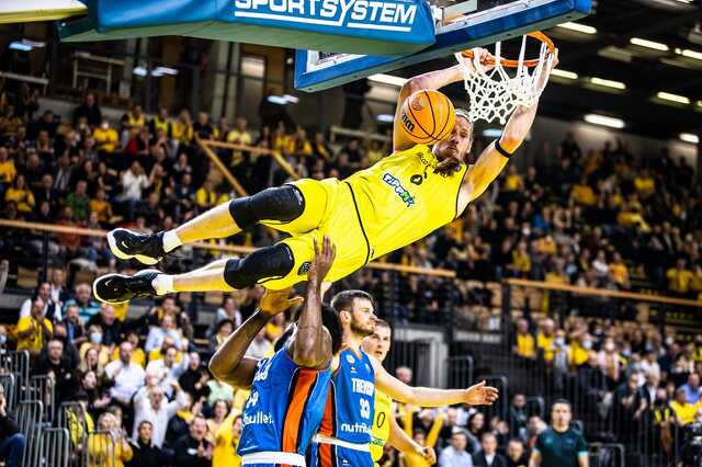 Falco-Treviso
