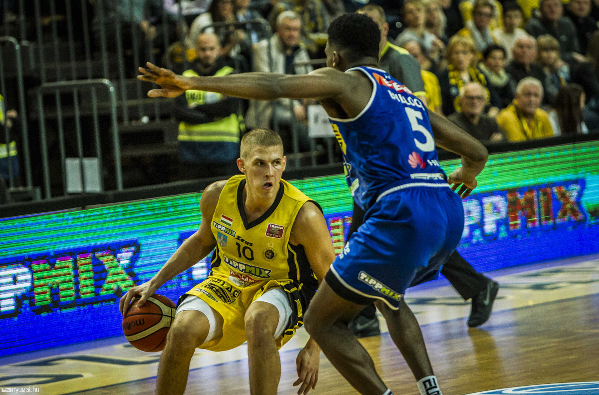falco alba fehérvár