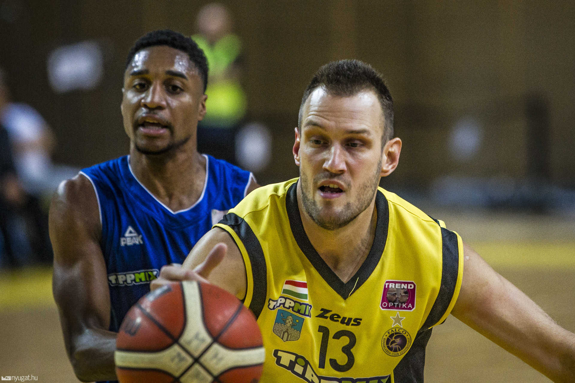 Falco - Sopron