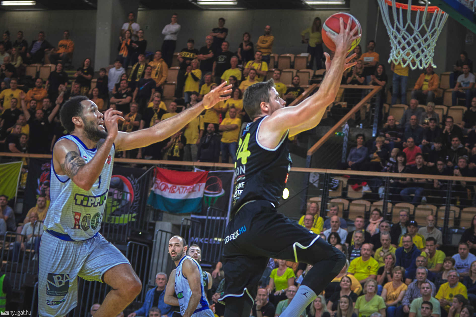 Falco KC-Sopron