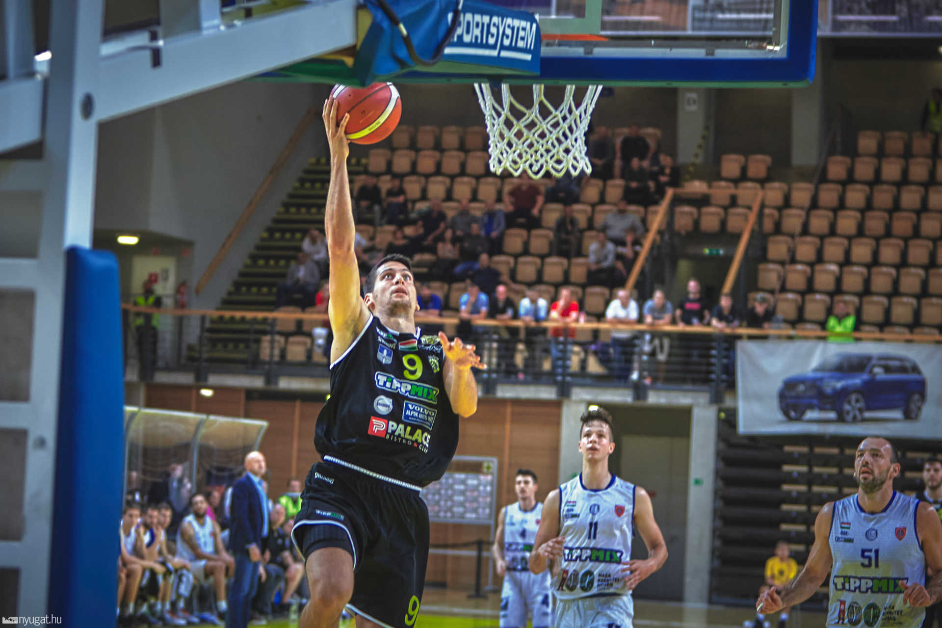 Falco KC-Sopron
