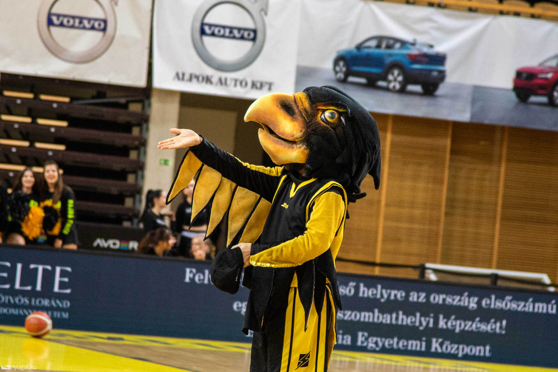 Falco KC - SZEDEÁK