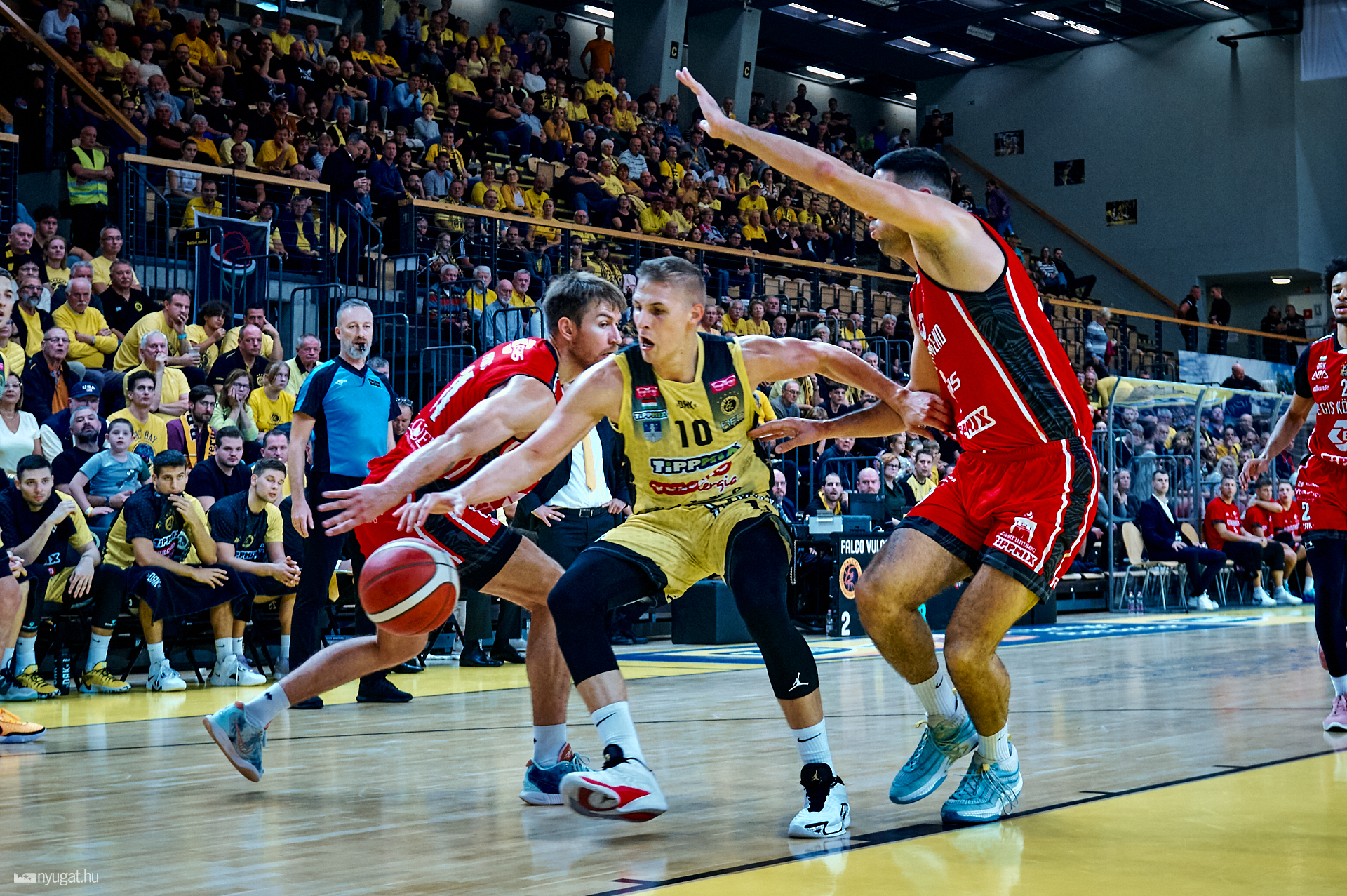 FalcoKC - Körmend bajnokság 2024