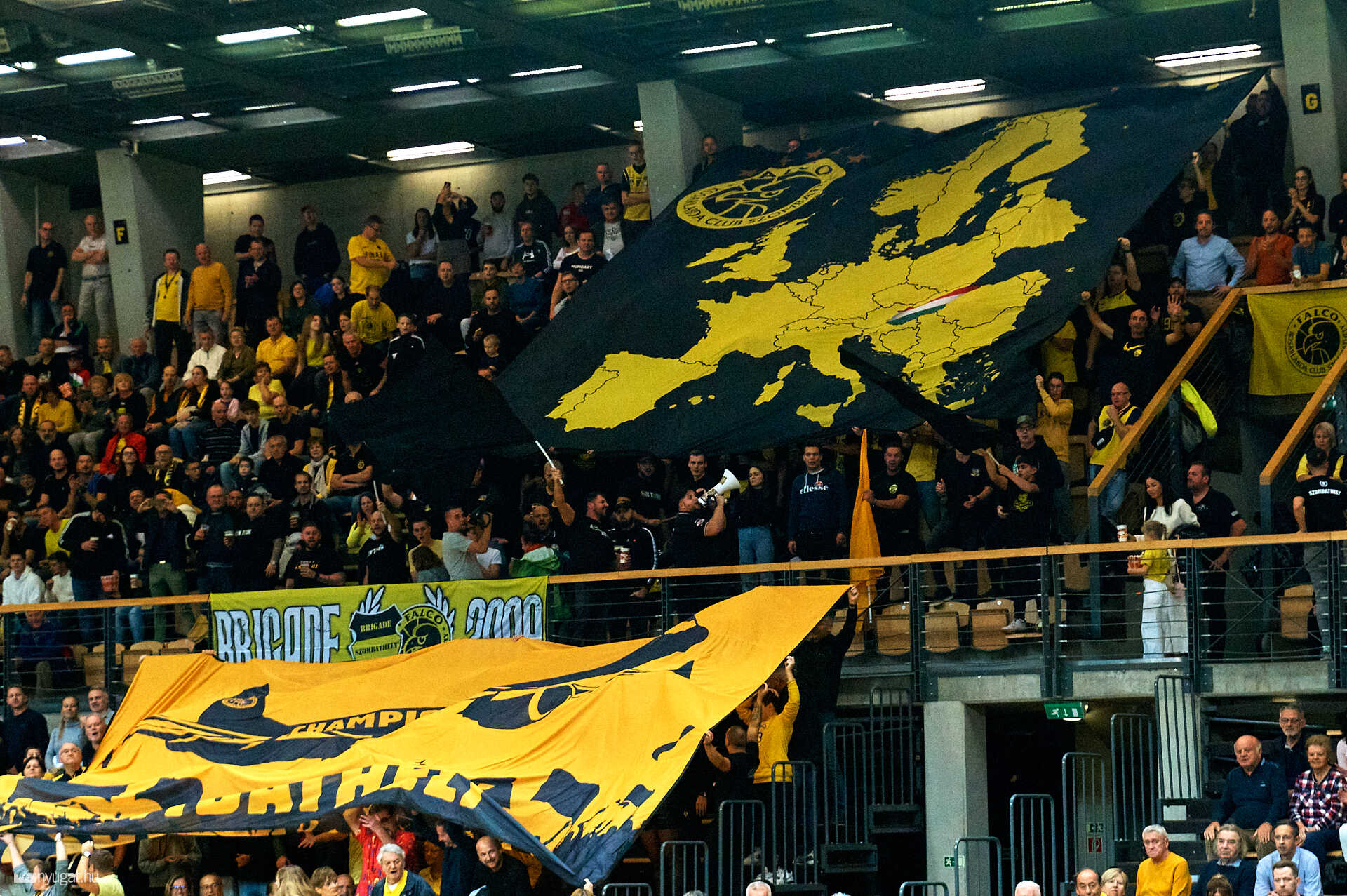 FalcoKC - Reggiana Emilia bajnokság, 2024