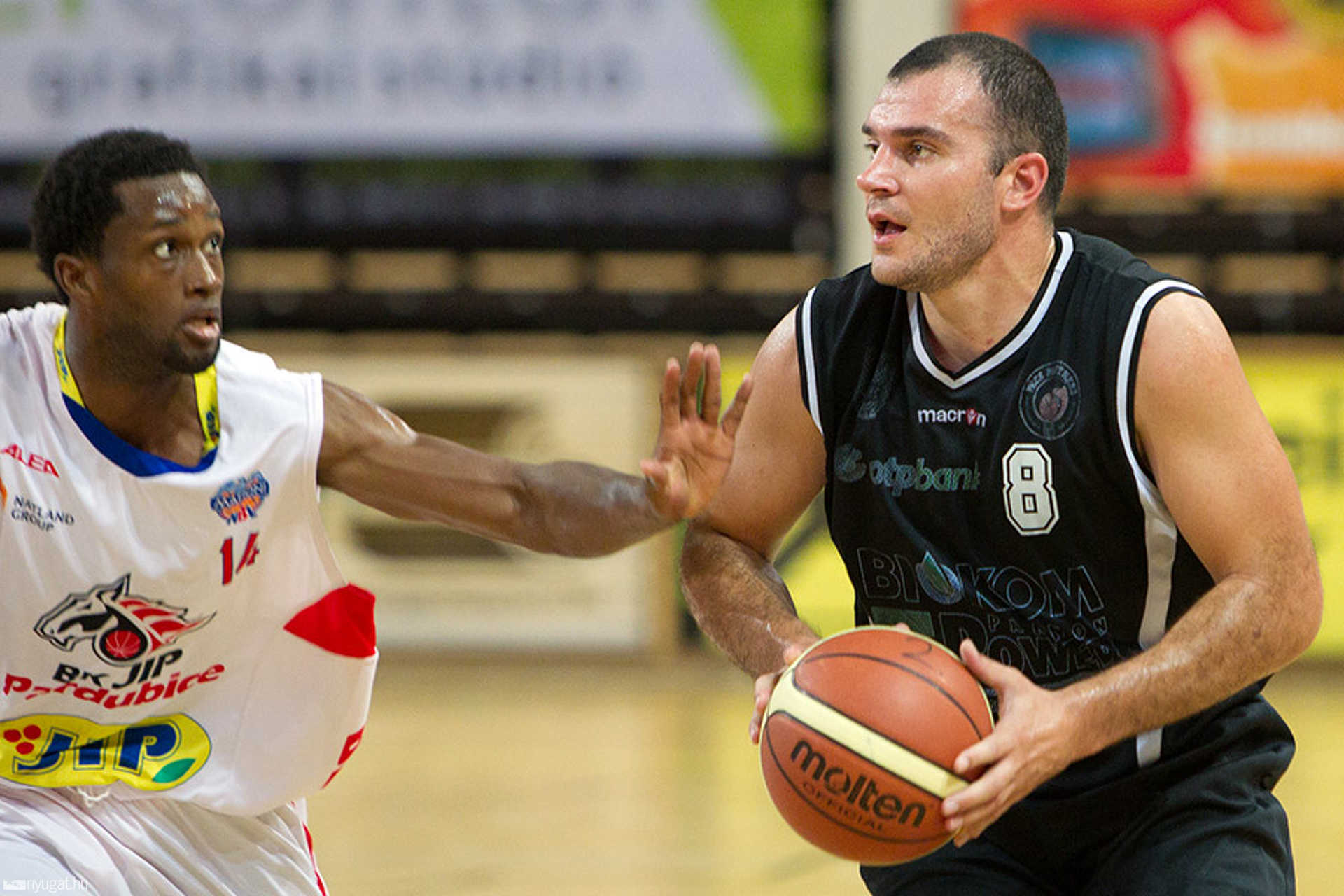 BK Pardubice – Pécsi VSK-PANNONPOWER