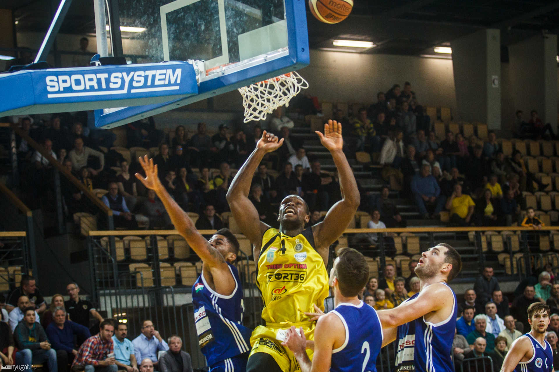 Falco KC Szombathely - Nyíregyháza Blue Sharks