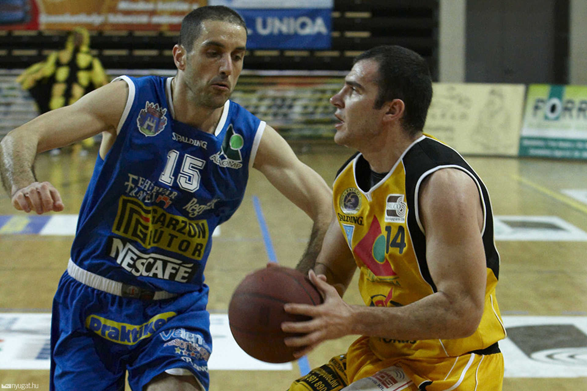 FALCO-SZOVA KC Szombathely - Albacomp
